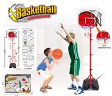 OBL10147363 - Basketball board / basketball