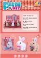 OBL10153235 - 电动兔子 展示盒