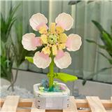OBL10170519 - 栀子花