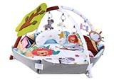 OBL10171563 - Baby carpet/Fitness frame