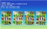 OBL10175102 - 植物僵尸软弹枪+5.5寸植物射手6只插卡装 3CM海绵球6pcs+4CM海绵球3pcs
