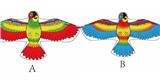 OBL10176206 - Windmill / kite
