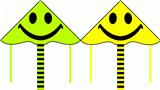 OBL10176219 - Windmill / kite