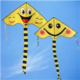 OBL10176221 - Windmill / kite