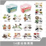 OBL10198354 - Animaltoys