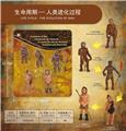 OBL10198387 - Animaltoys
