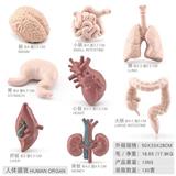 OBL10198481 - Animaltoys