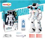 OBL10198680 - Remote control robot