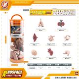 OBL10198769 - Animaltoys