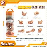 OBL10198788 - Animaltoys