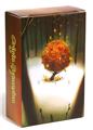 OBL10204607 - Game classes / chess
