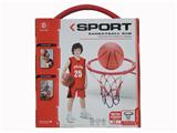 OBL10212607 - Basketball board / basketball