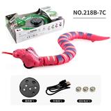 OBL10228838 - Remote control animal