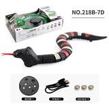 OBL10228839 - Remote control animal