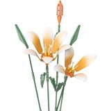 OBL10243387 - 霓虹