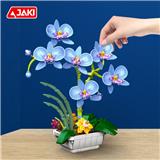 OBL10243475 - 蝴蝶兰（风雅蓝）
