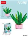 OBL10243776 - 蛇尾兰 65PCS