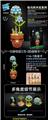OBL10253427 - 风信子