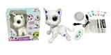 OBL10260590 - Remote control animal