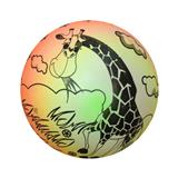 OBL10261414 - 9寸彩虹球