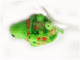 OBL10264913 - Slush / Ruanjiao Series