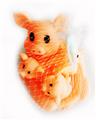 OBL10264915 - Slush / Ruanjiao Series