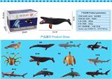 OBL10275481 - Slush / Ruanjiao Series