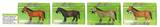 OBL10287509 - Animaltoys