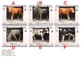 OBL10287715 - Animaltoys