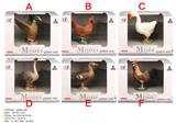 OBL10287716 - Animaltoys