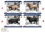 OBL10287935 - Animaltoys
