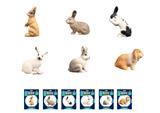 OBL10288028 - Animaltoys