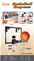 OBL10308608 - Basketball board / basketball