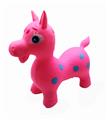 OBL10312062 - Inflatable series