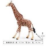 OBL10323829 - Animaltoys