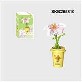 OBL10330361 - Puzzle