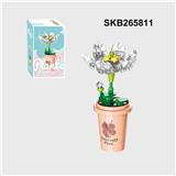 OBL10330362 - Puzzle