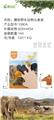 OBL10331139 - 搪胶野生动物头套装