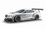 OBL10348967 - 宾利GT3