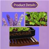 OBL10367646 - Puzzle