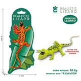 OBL10378896 - 温变石龙子蜥