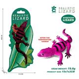 OBL10378901 - 温变犰狳尾蜥