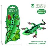 OBL10378905 - 草蜥