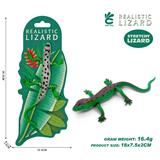 OBL10378907 - 丽纹龙蜥