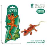 OBL10378908 - 石龙子蜥