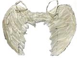OBL10416137 - 57*40CM中号真羽毛天使翅膀