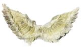 OBL10416139 - 80*40CM真羽毛天使翅膀加银丝