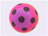 OBL10433499 - 9-INCH CIRCULAR RAINBOW BALL