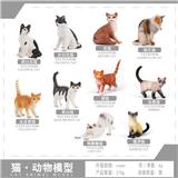 OBL10433799 - 10款猫咪套装