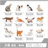 OBL10433800 - 12款猫咪套装